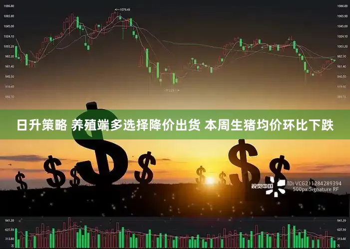 日升策略 养殖端多选择降价出货 本周生猪均价环比下跌