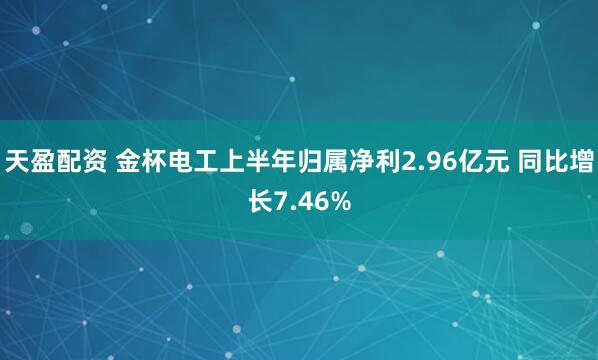 天盈配资 金杯电工上半年归属净利2.96亿元 同比增长7.46%
