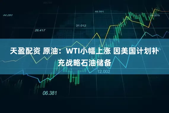 天盈配资 原油:WTI小幅上涨 因美国计划补充战略石油储备